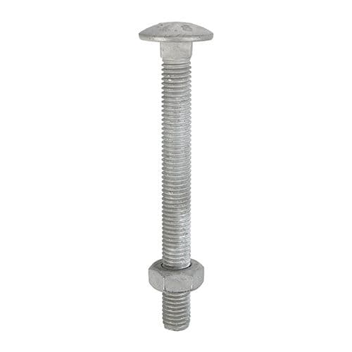 TIMCO M8 x 150 Carriage Bolts & Hex Nuts - Hot Dipped Galvanised - Box of 25
