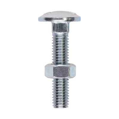 TIMCO M8 x 40 Carriage Bolts & Hex Nuts - Zinc Plated Steel - Box of 100