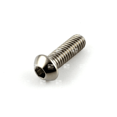 Titanium BMW S1000RR Rear Disc Bolt BMW Titanium M6 x 1.0mm x 18mm