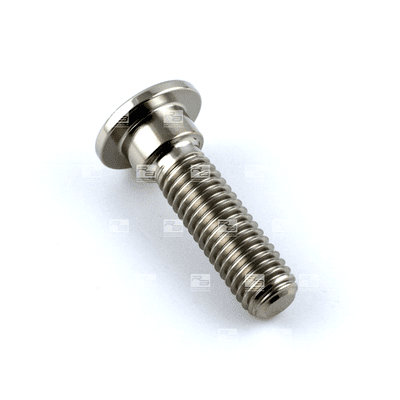 Titanium Kawasaki Front Disc Bolt M8 x 1.25mm x 30mm