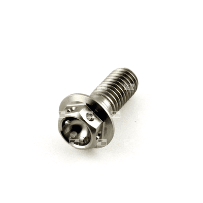 Titanium Race Drilled Hex Head Disc Bolt M8 x 1.25mm x 20mm - Disc Bolt