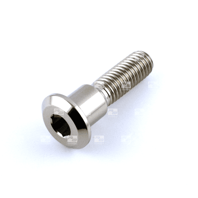 Titanium Suzuki Front Disc Bolt M8 x 1.25mm x 32mm