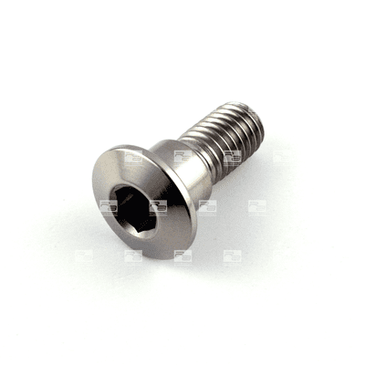 Titanium Suzuki Rear Disc Bolt M8 x 1.25mm x 20mm