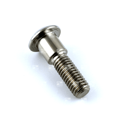 Triumph Front Disc Bolt M8 x 1.25mm x 30mm