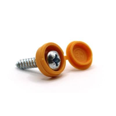 Yellow Plastic Cap & Metal Number Plate Screws