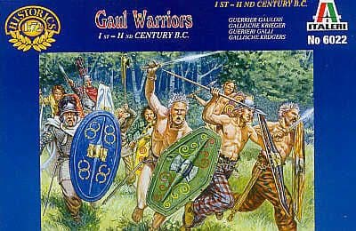 IT6022 Gaul Warriors