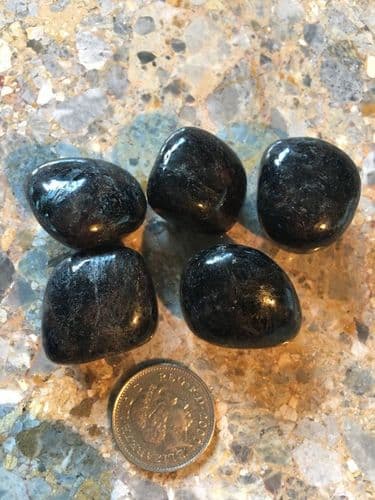 Astrophylite Tumblestone Medium - Large Sized, Chakra and Reiki Healing Crystal