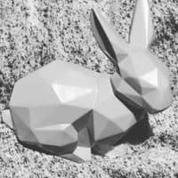 Geometric Rabbit Latex  Mould