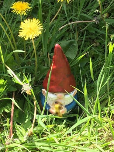 Gnome with Bird Latex Mould