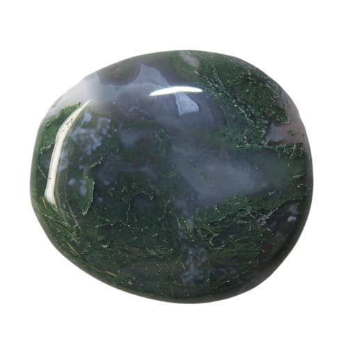 Moss Agate Palm Stone 40x30mm