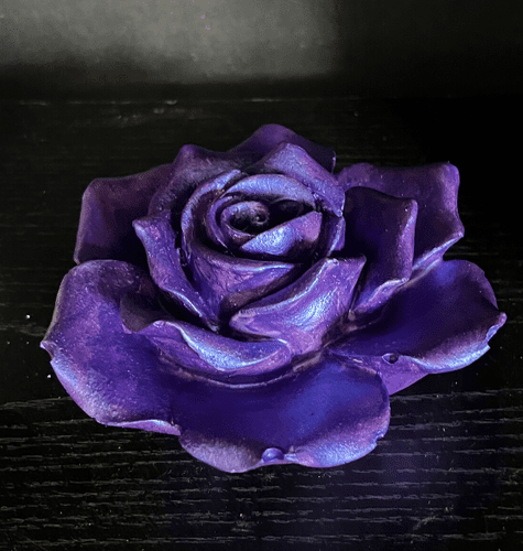 Purple Concrete Rose