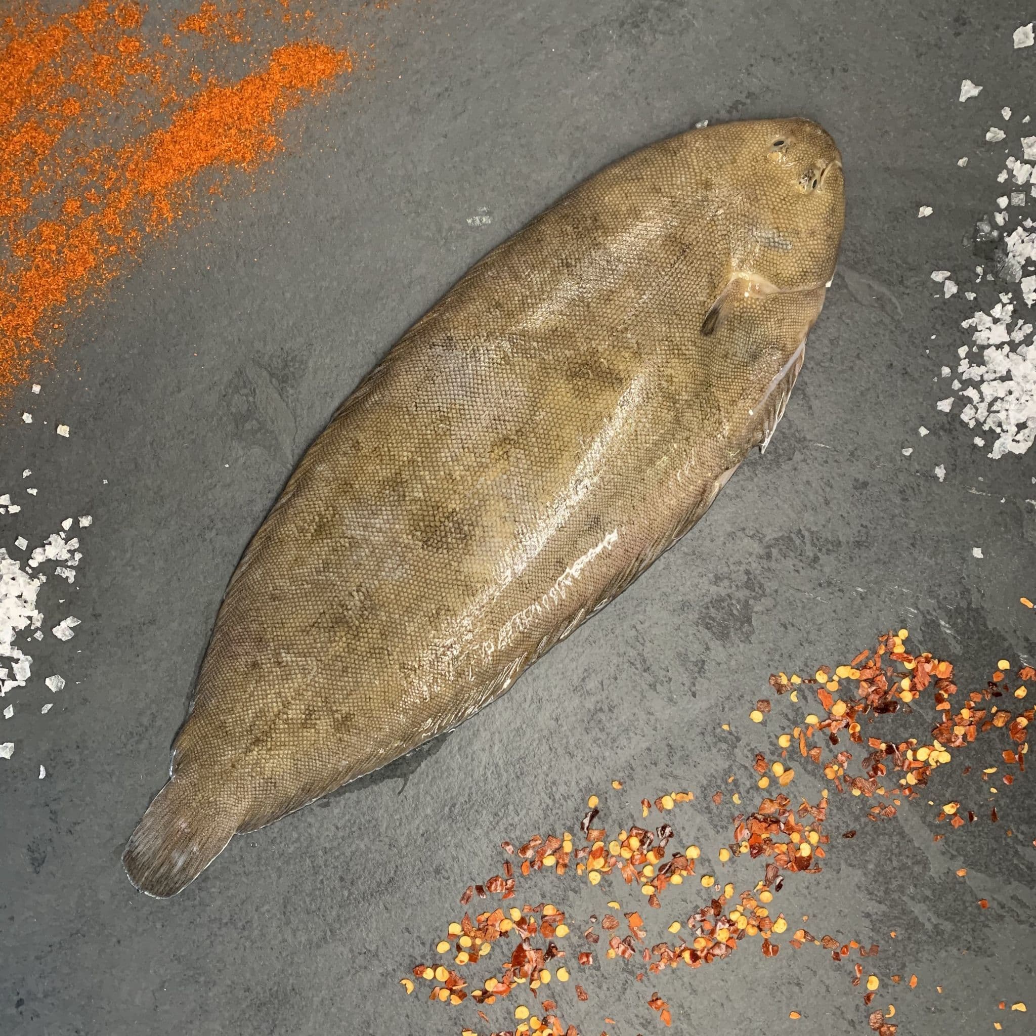 Dover Sole Buy Fresh Dover Sole Online Hamiltons Fish