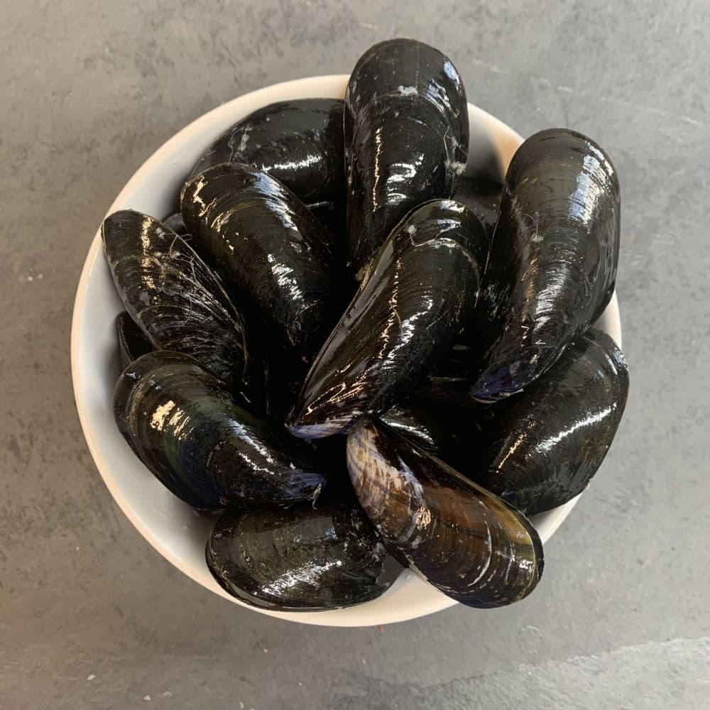 Fresh Live Mussels Delivered Order Mussels Online Hamiltons Fish