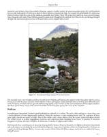 Carnivorous plants of Australia Magnum opus Vol 1