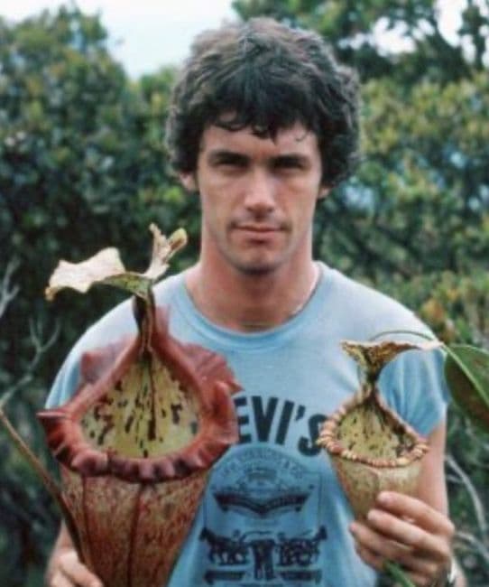 BE3931 N.rajah x N.burbridgeae