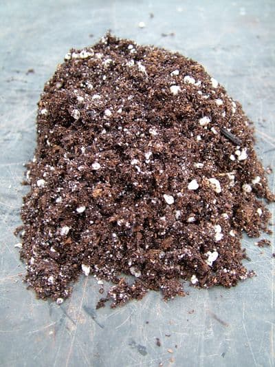 COM01 -12 Flytrap/Sarracenia compost 12Litres approx