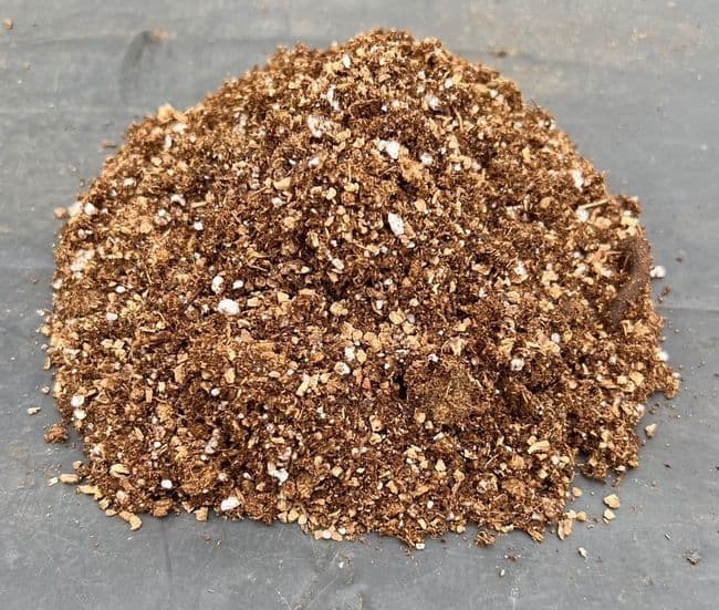 Pinguicula compost 3 Litres approx