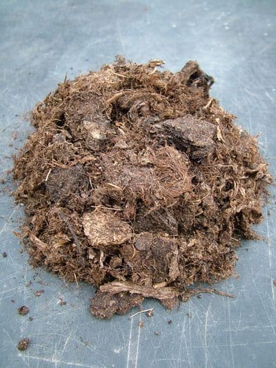 Nepenthes German peat course grade 3 Litres approx