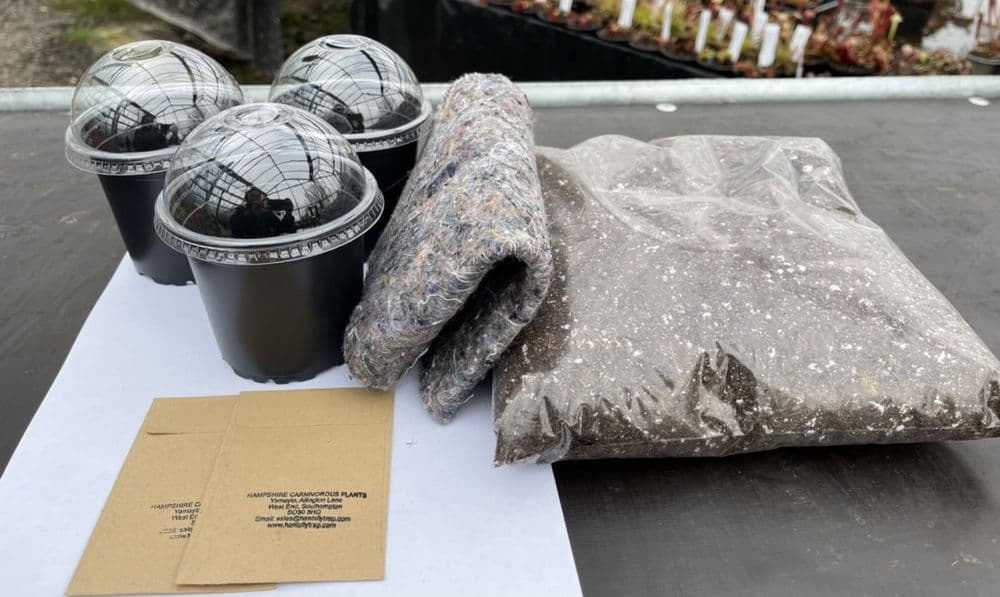 GK02 Sarracenia seed growing kit