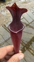 GN9 H74 S.x soperi cv Roy Cheek