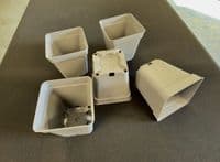 PT05 Eco pots 5