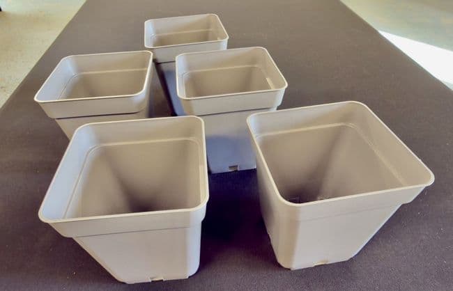 PT05 Eco pots 5