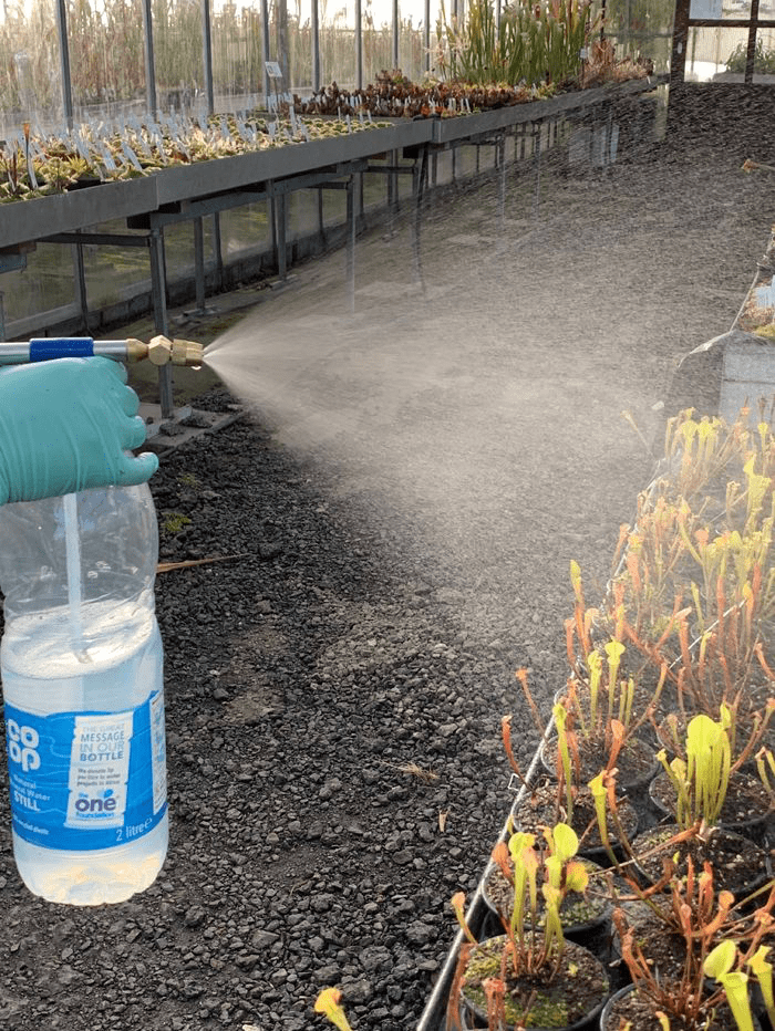 SP001 Multi purpose mist sprayer