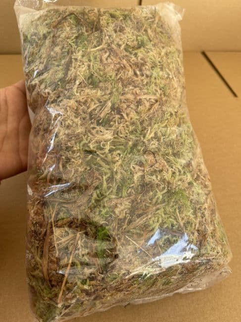 SPG03 Long fibre sphagnum moss live