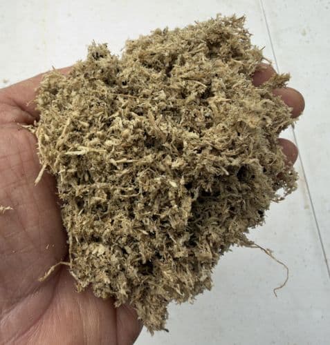 Sustainable Chopped Sphagnum