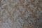 COR1517 Corded Lace, 138 cm wide, white