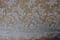 COR1517 Corded Lace, 138 cm wide, white
