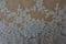 COR1520 Corded lace, 138 cm wide, ivory