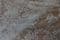 COR1520 Corded lace, 138 cm wide, ivory