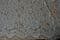 COR9124 Corded lace, 140 cm wide, ivory
