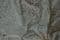 COR9124 Corded lace, 140 cm wide, ivory