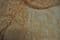 Corded Jacquared Lace, COR9033 scalloped edged, 140 cm, ivory or nude
