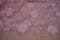Embroidery Lace, 130 cm wide, pale pink, code: EM1102