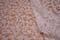 GU001 Guipure Lace, 120 cm, white