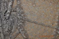 Guipure Lace, 120 cm wide, silver, code: GU202