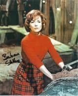 Barbara Shelley HAMMER HORROR Genuine Signed Autograph 10 x 8 COA 5991