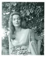 Barbara Shelley HAMMER HORROR Genuine Signed Autograph 10 x 8 COA 8151