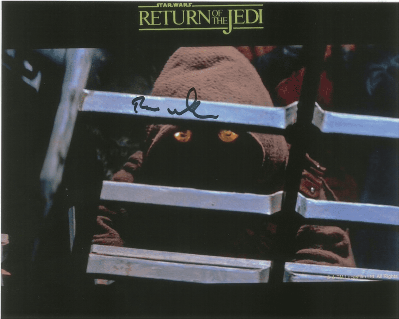 Brian Wheeler STAR WARS Ewok - Genuine Signed Autograph 10 x 8 COA 10130