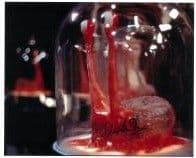 Clive Doig DOCTOR WHO Vision Mixer, Genuine Signed Autograph 10x8 COA