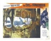 Derek Martin HAMMER HORROR) - Genuine Signed Autograph 10x8 COA7197