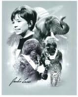 Jackie Lane, 'Dodo' DOCTOR WHO - Genuine Signed Autograph 10x8 COA 6153