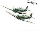 TOM NEIL DFC 249 Sqn Fighter Pilot hand signed autographs 10x8 COA