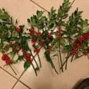 CHRISTMAS HOLLY LOOSE & FLORISTRY ITEMS
