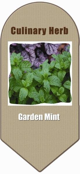 Garden Mint 2L