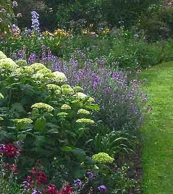 Plants for Shade, Plants for Sun