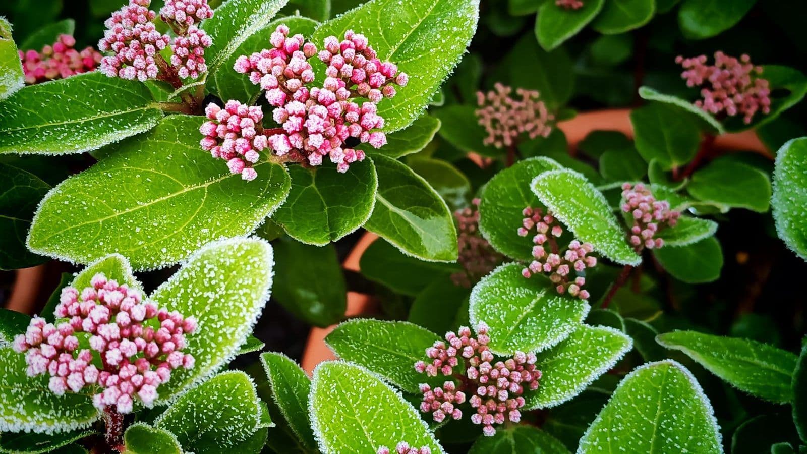 December blog image